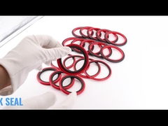 Sellos del paso del sello HBTS de SPGO Glyd